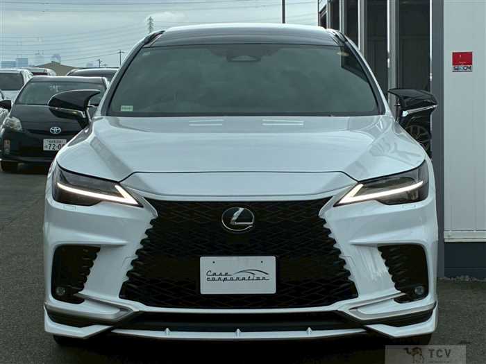 2025 Lexus RX