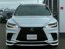 2025 Lexus RX