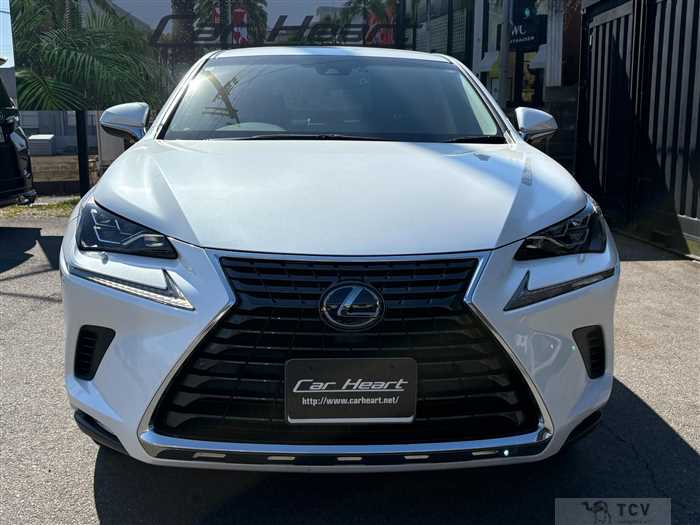 2018 Lexus NX