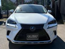 2018 Lexus NX
