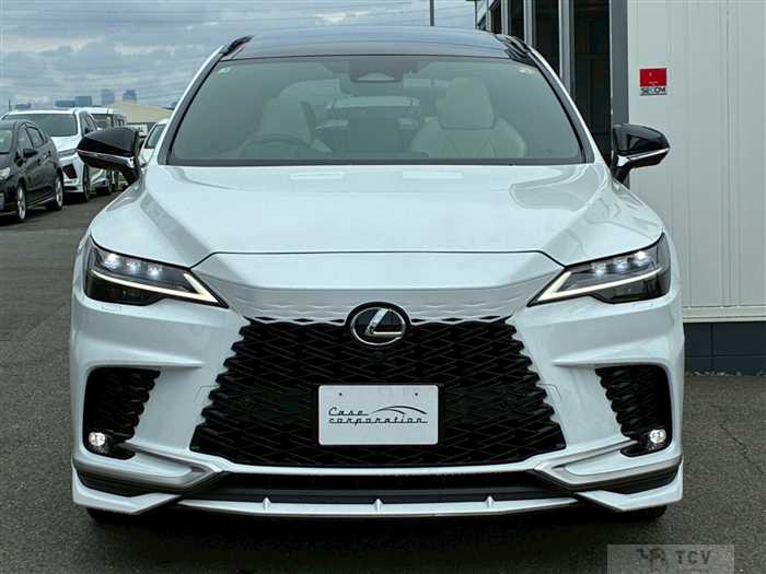2025 Lexus RX