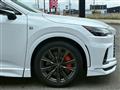 2025 Lexus RX