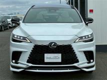 2025 Lexus RX