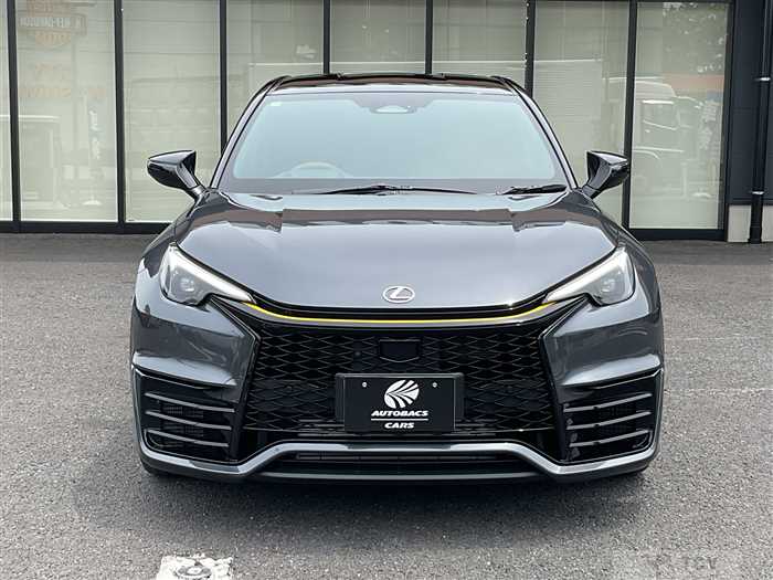 2025 Lexus LX