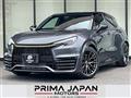 2025 Lexus LX