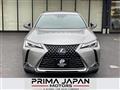 2019 Lexus UX