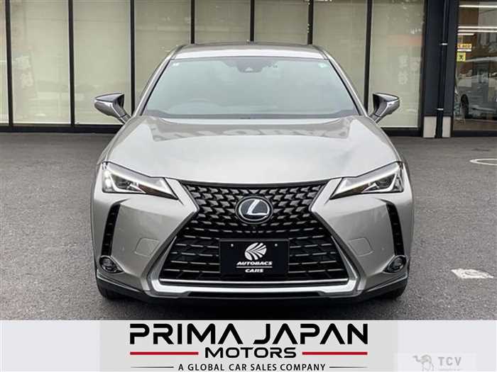 2019 Lexus UX