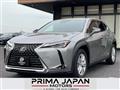 2019 Lexus UX