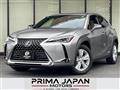 2019 Lexus UX