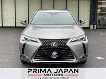 2019 Lexus UX