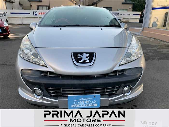 2009 Peugeot 207