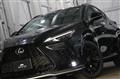 2022 Lexus NX