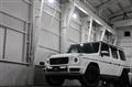 2019 Mercedes-Benz G-Class
