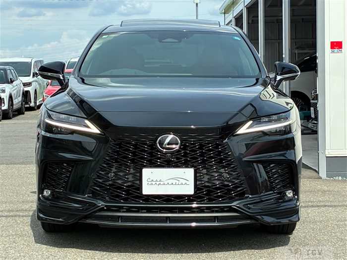 2025 Lexus RX