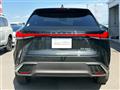 2025 Lexus RX