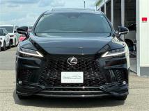 2025 Lexus RX