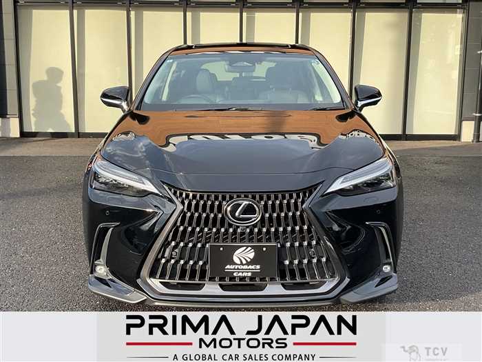 2022 Lexus NX