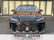 2022 Lexus NX
