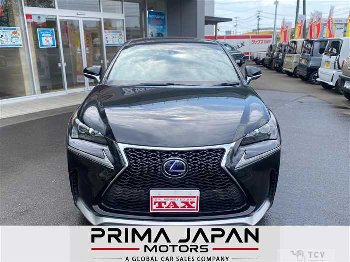 2016 Lexus NX
