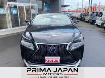 2016 Lexus NX