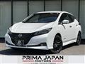 2022 Nissan Leaf