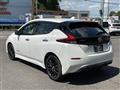 2022 Nissan Leaf
