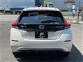 2022 Nissan Leaf