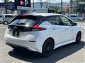 2022 Nissan Leaf