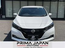 2022 Nissan Leaf
