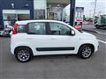 2019 Fiat Panda
