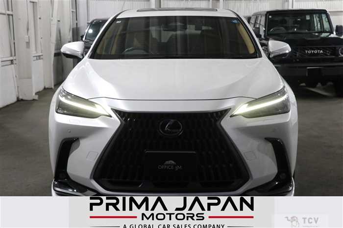 2023 Lexus NX