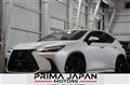 2023 Lexus NX