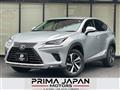 2018 Lexus NX