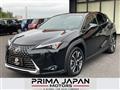 2024 Lexus UX