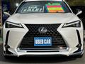 2019 Lexus UX