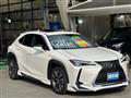 2019 Lexus UX
