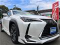 2019 Lexus UX