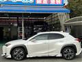 2019 Lexus UX
