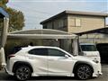 2019 Lexus UX