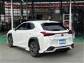 2019 Lexus UX