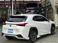 2019 Lexus UX