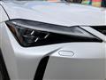 2019 Lexus UX