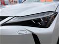 2019 Lexus UX