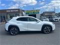 2024 Lexus UX