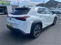 2024 Lexus UX