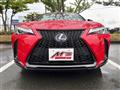 2019 Lexus UX