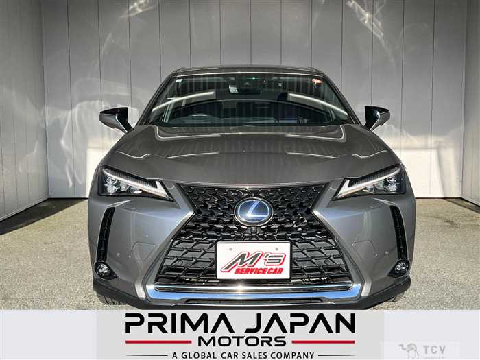 2019 Lexus UX
