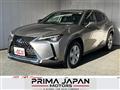 2019 Lexus UX