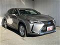 2019 Lexus UX