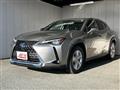 2019 Lexus UX